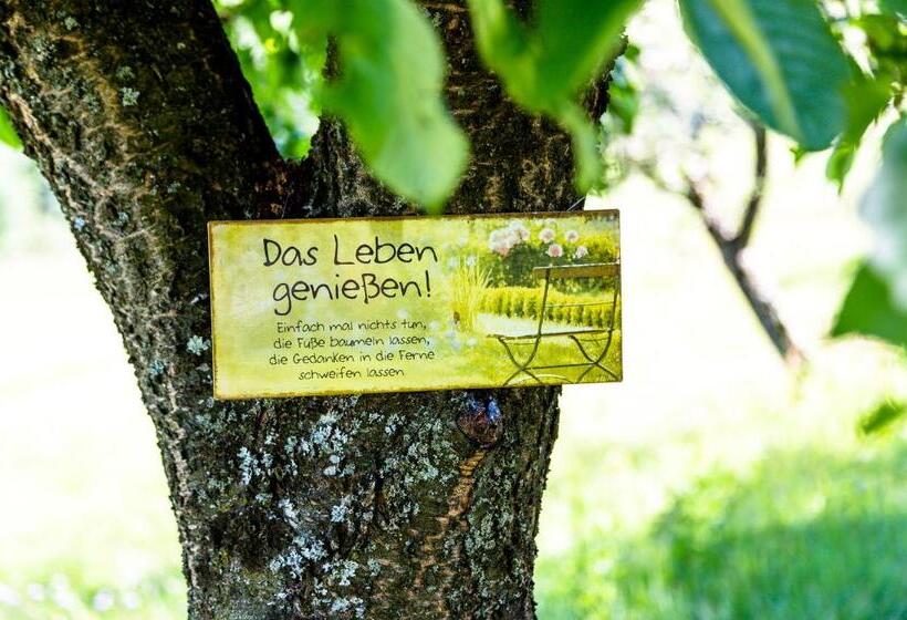 פנסיון Birkenhof Loipersdorf