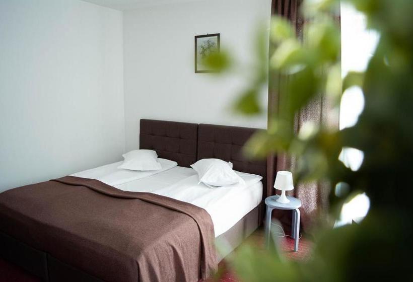 پانسیون Casa Vlasin