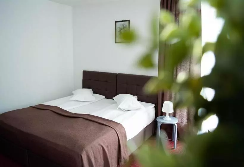 Majatalo Casa Vlasin