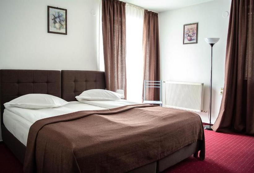 پانسیون Casa Vlasin