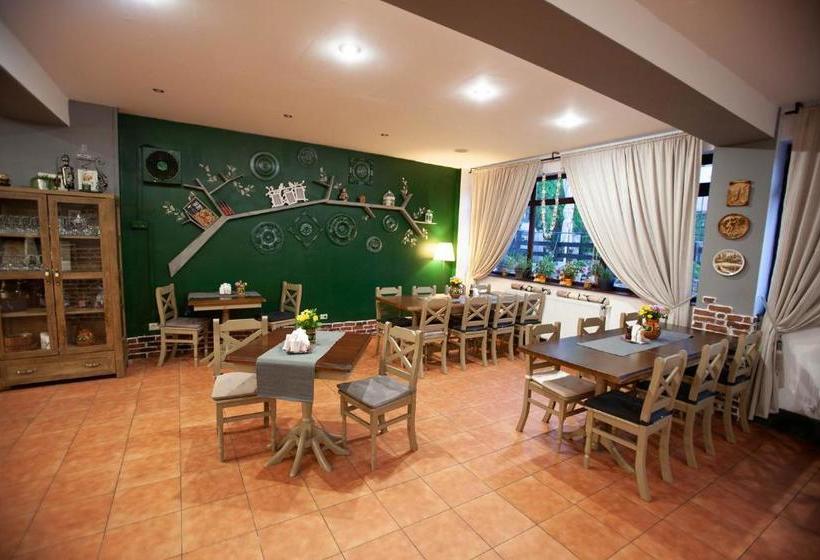 پانسیون Casa Vlasin