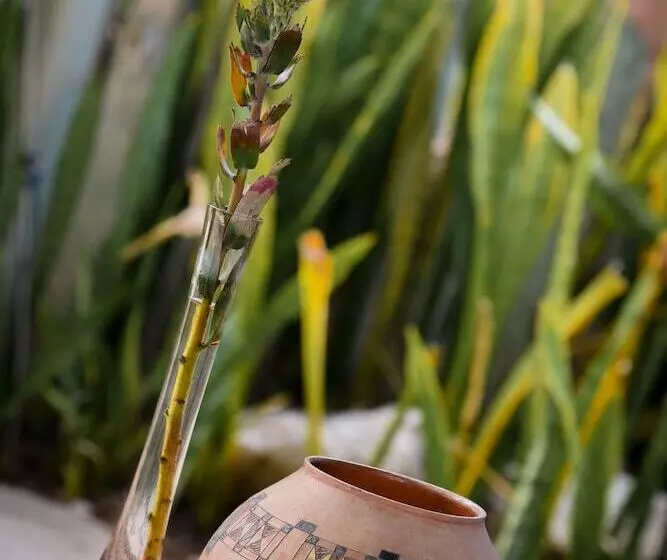 ペンション La Lechere Guest House