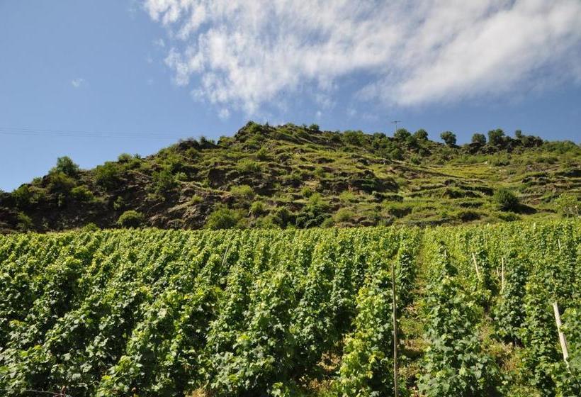 펜션 Landhaus Müller