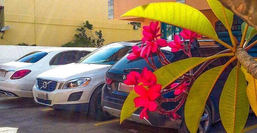 Pension Pousada Santo Aleixo