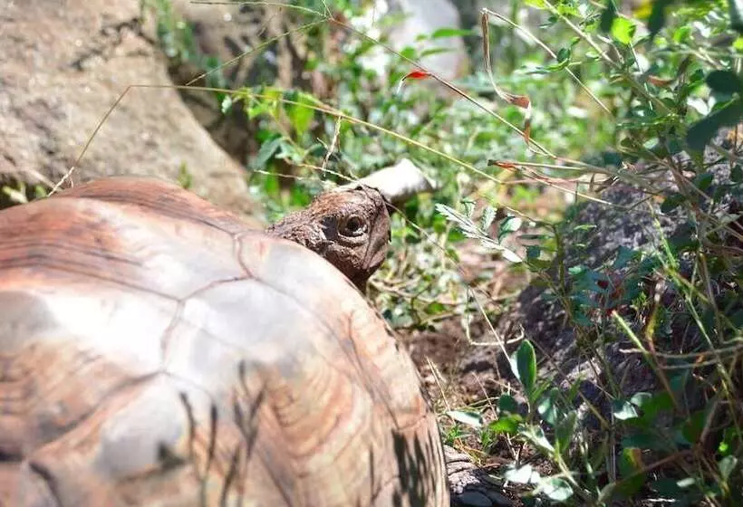 ペンション Rocky Drift Private Nature Reserve
