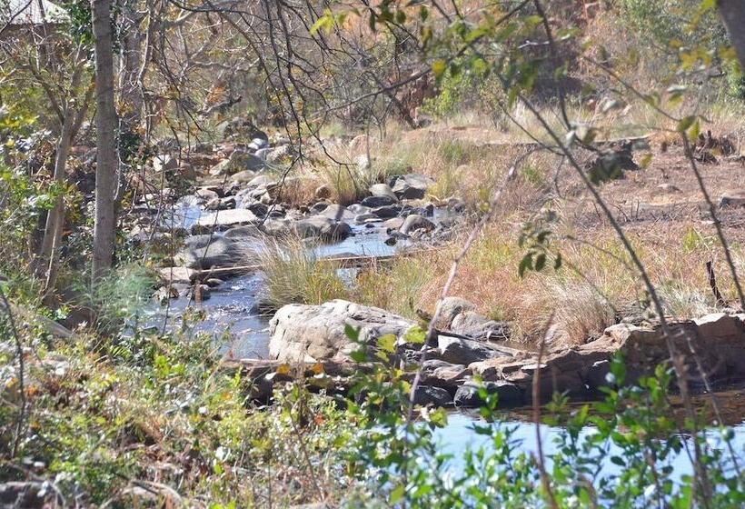 פנסיון Rocky Drift Private Nature Reserve