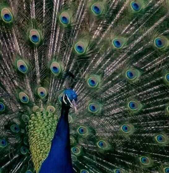 פנסיון Rocky Drift Private Nature Reserve