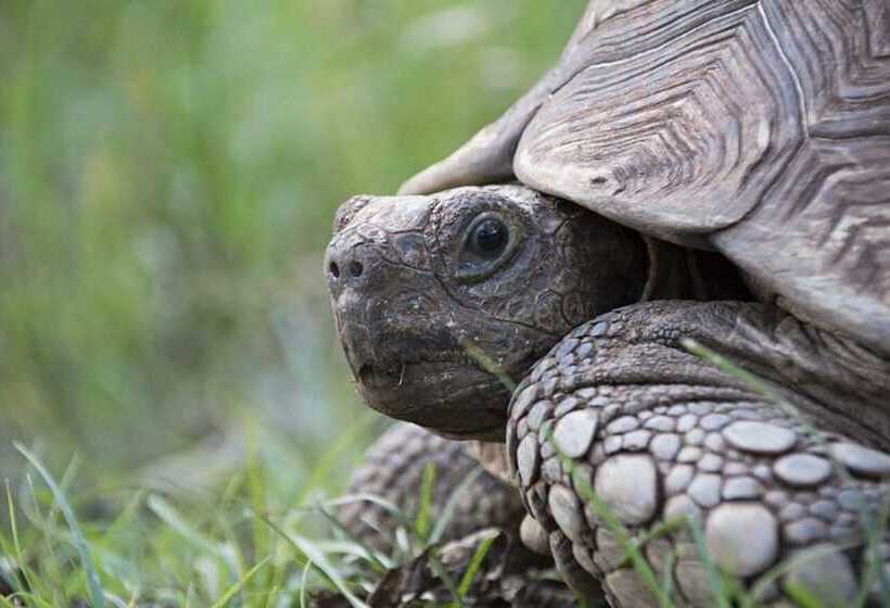פנסיון Rocky Drift Private Nature Reserve