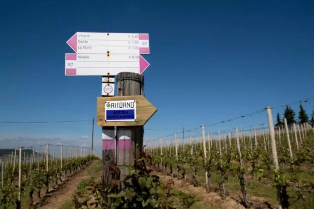 Majatalo Rosso Di Sera