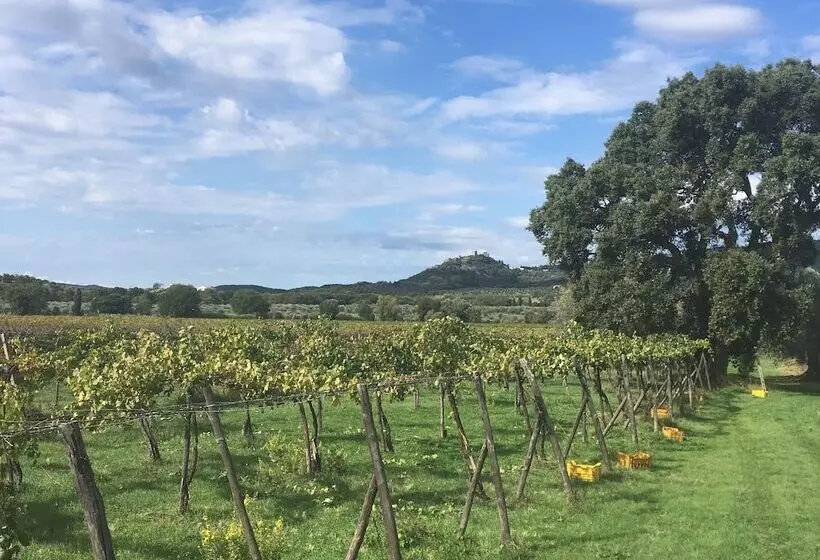 ホテル Pieve Di Caminino Historic Farm