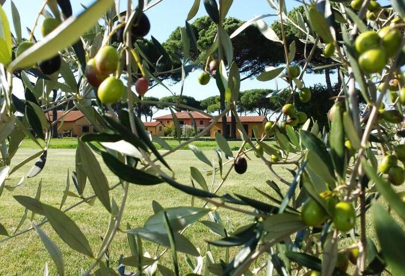 La Fattoria Di Tirrenia