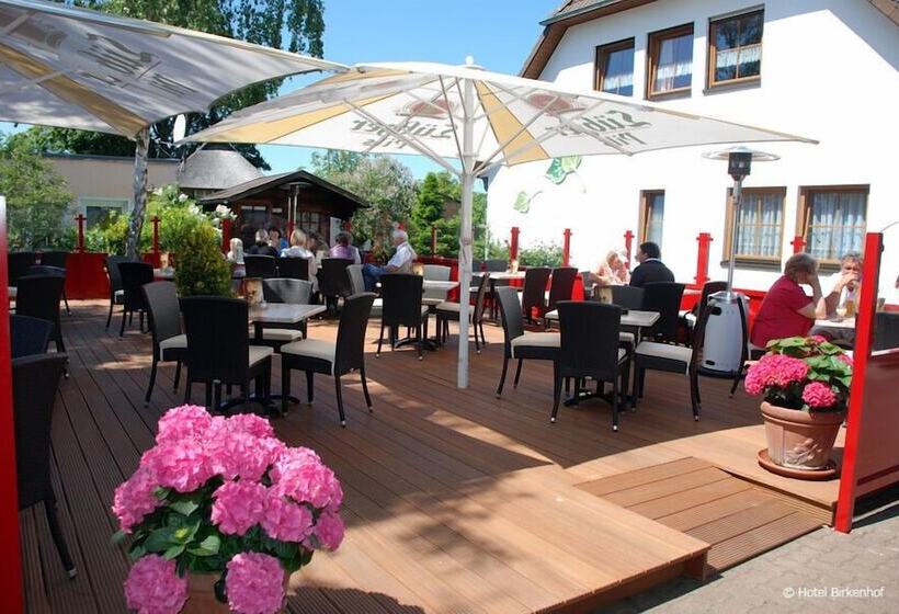 بنسيون Birkenhof Garni