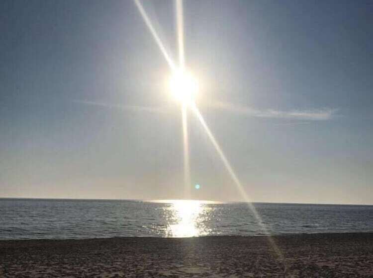بنسيون Birkenhof Garni