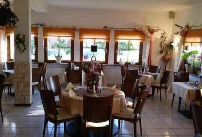 بنسيون Birkenhof Garni