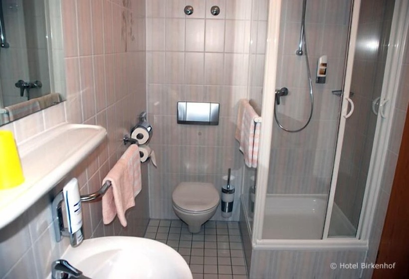 بنسيون Birkenhof Garni