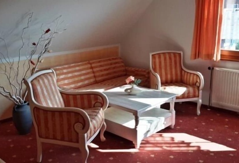 بنسيون Birkenhof Garni