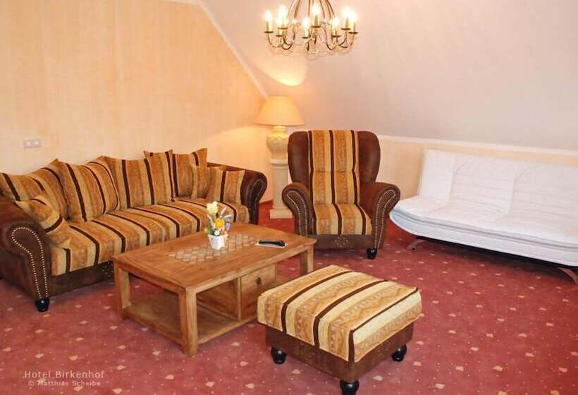 بنسيون Birkenhof Garni