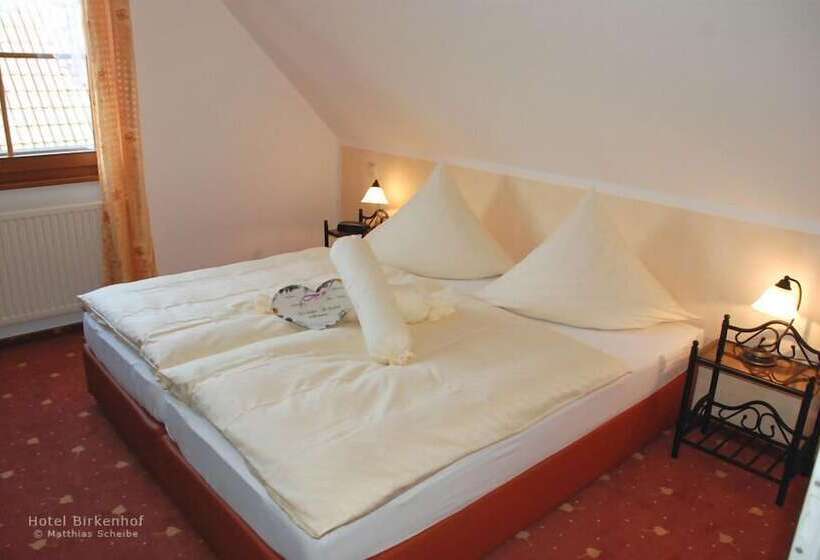 بنسيون Birkenhof Garni