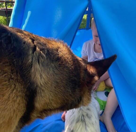 ペンション Casa Yachi Vama Veche