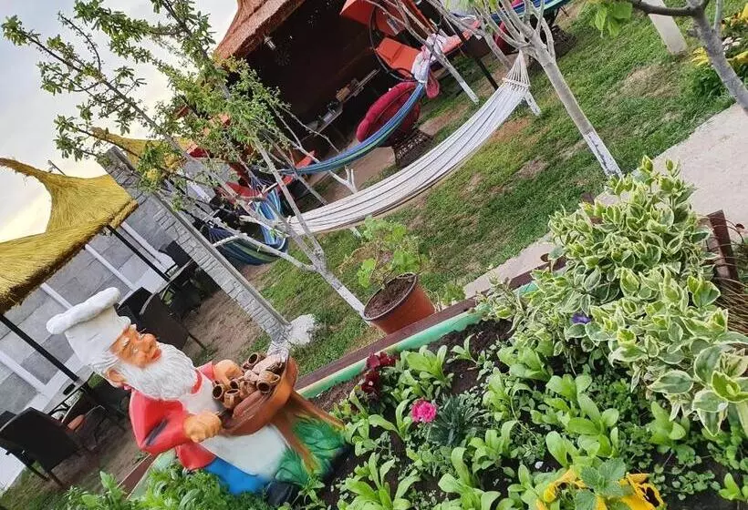 پانسیون Casa Yachi Vama Veche