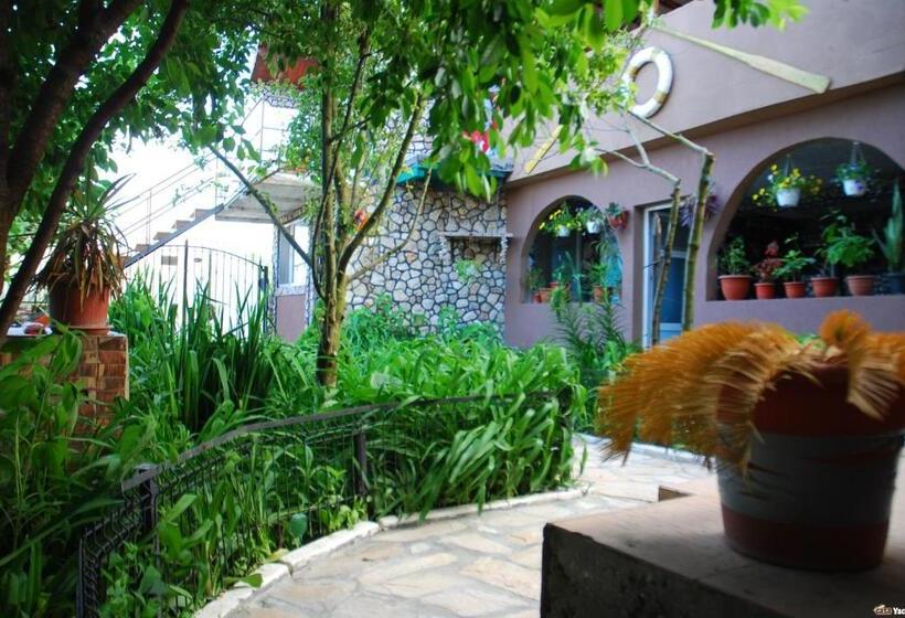 Пансион Casa Yachi Vama Veche