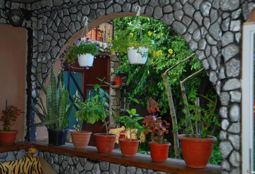 Пансион Casa Yachi Vama Veche