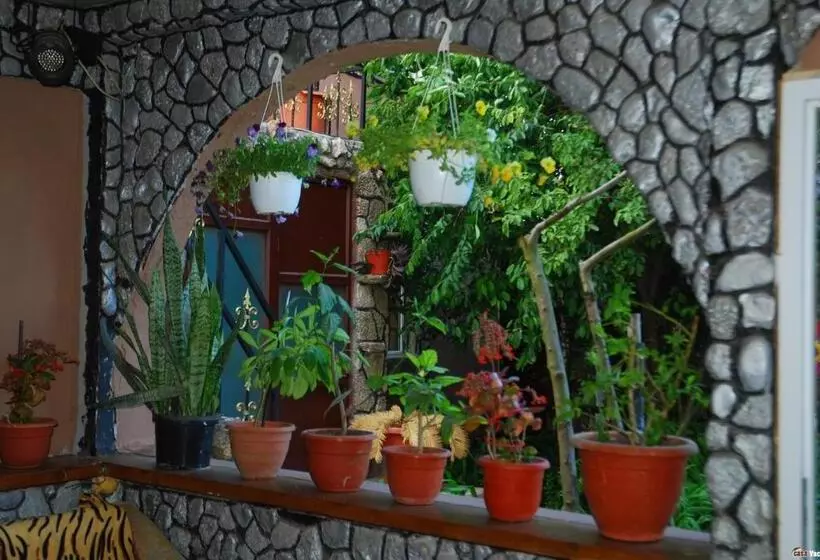 پانسیون Casa Yachi Vama Veche