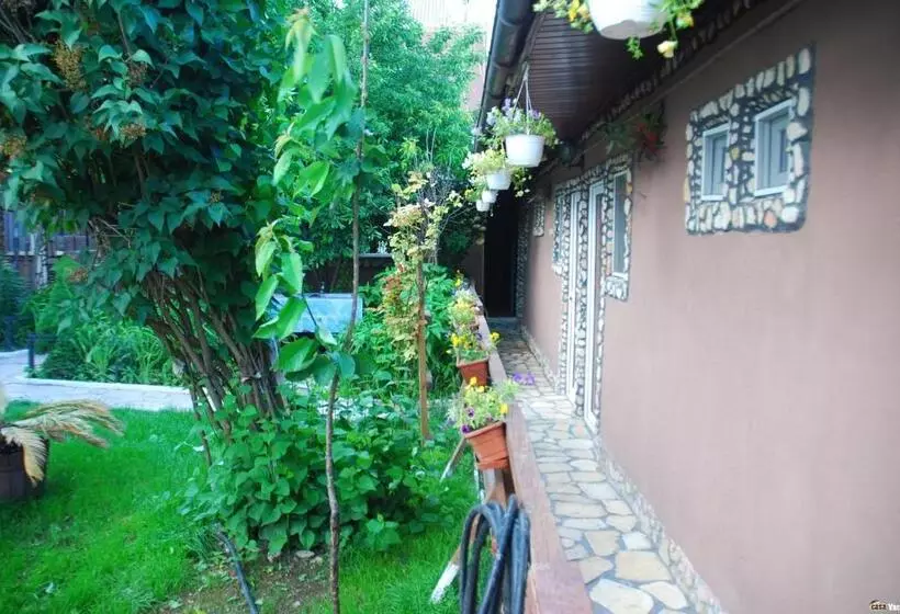 پانسیون Casa Yachi Vama Veche