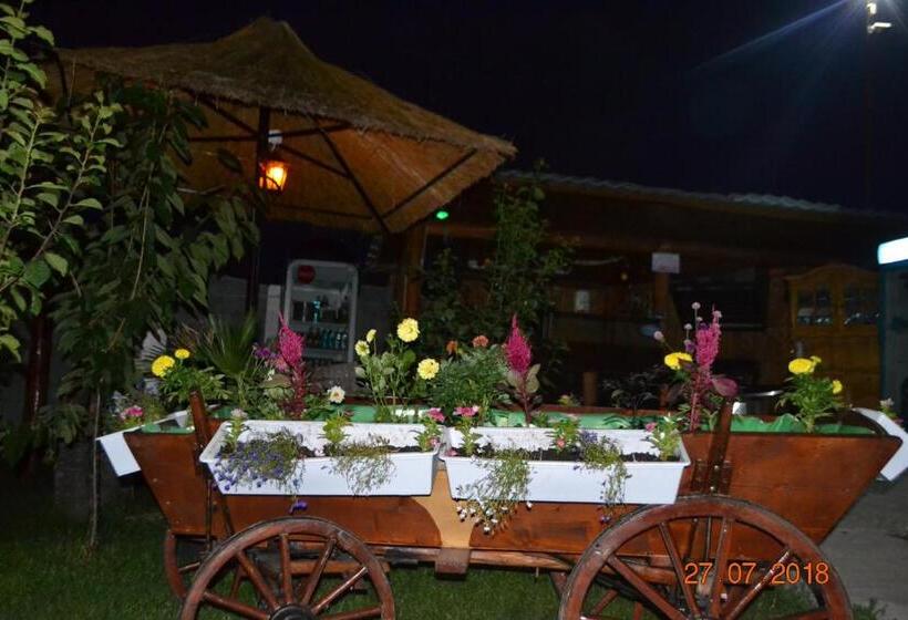 Пансион Casa Yachi Vama Veche