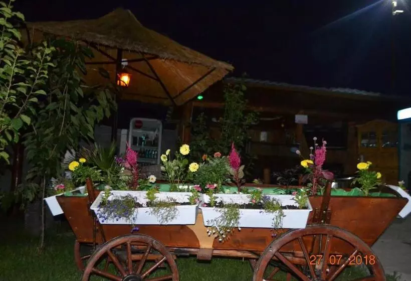 پانسیون Casa Yachi Vama Veche