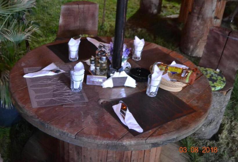 Пансион Casa Yachi Vama Veche