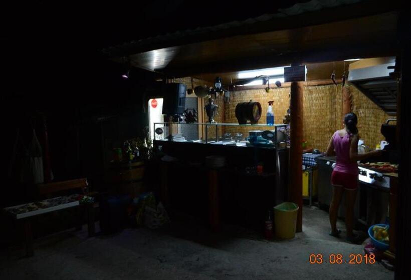 Пансион Casa Yachi Vama Veche