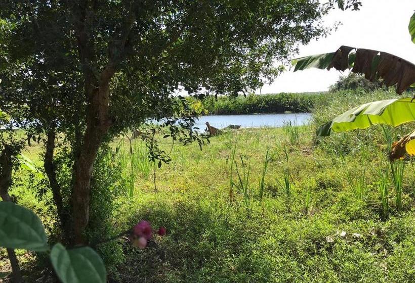 پانسیون Pousada Mangue Seco