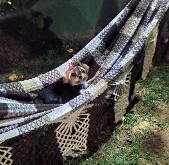 پانسیون Pousada Mangue Seco