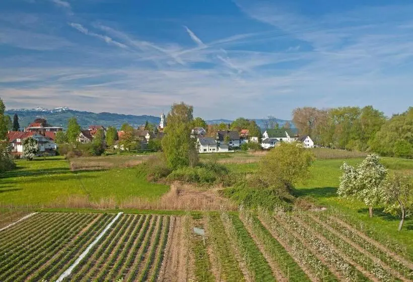 ペンション Restaurant Walserhof