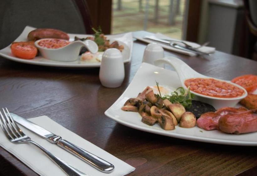 Albergue The Black Swan