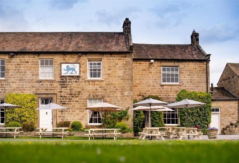 Общежитие The Blue Lion