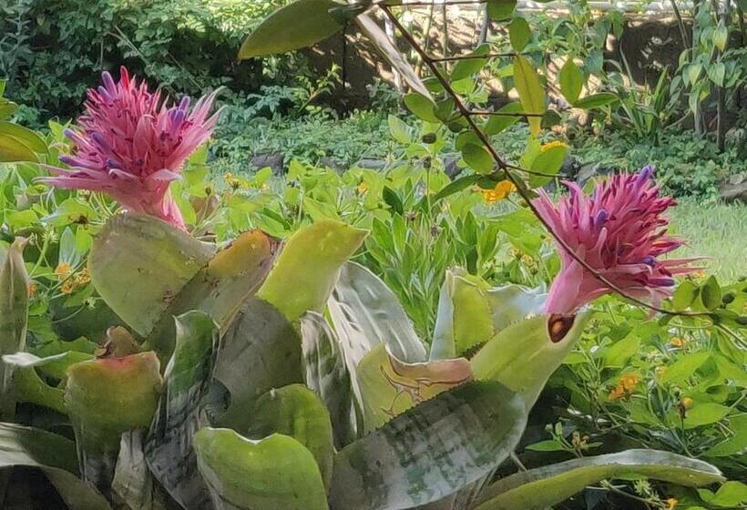 B&b Dimora Degli Ulivi