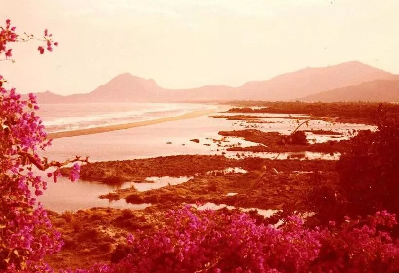 B&b Dimora Degli Ulivi