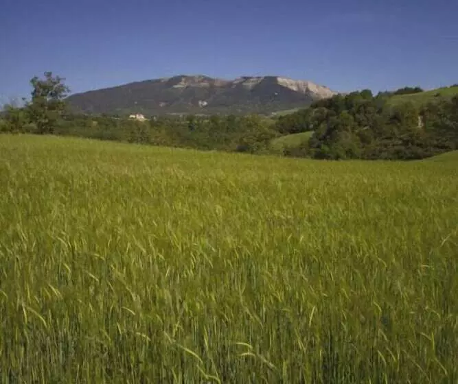 ホテル Agriturismo La Spiga D Oro