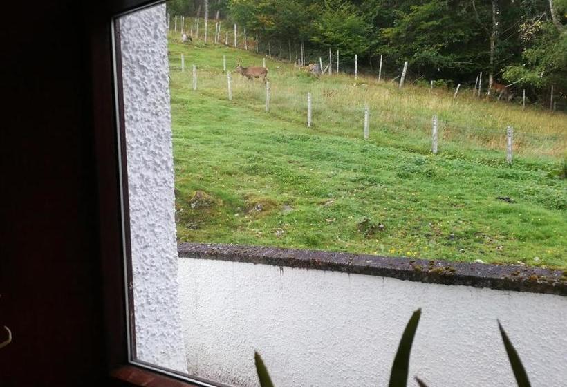 בית מלון כפרי Highgarry Cottage