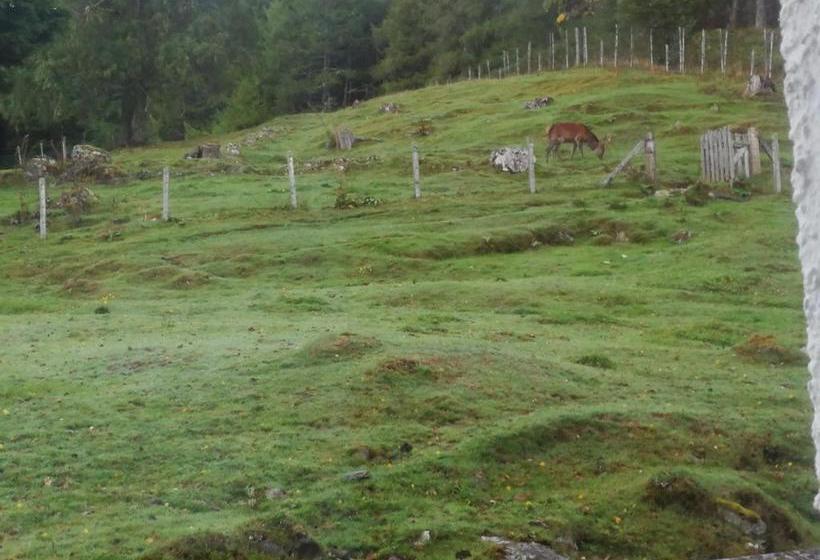 בית מלון כפרי Highgarry Cottage