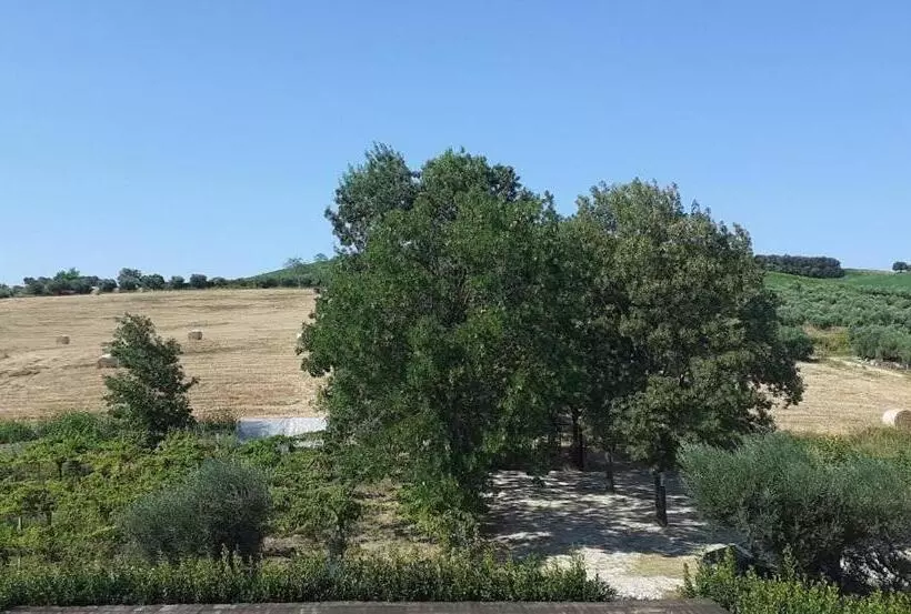 هتل Pier Delle Vigne B&b