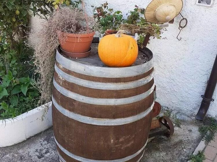 هتل Pier Delle Vigne B&b