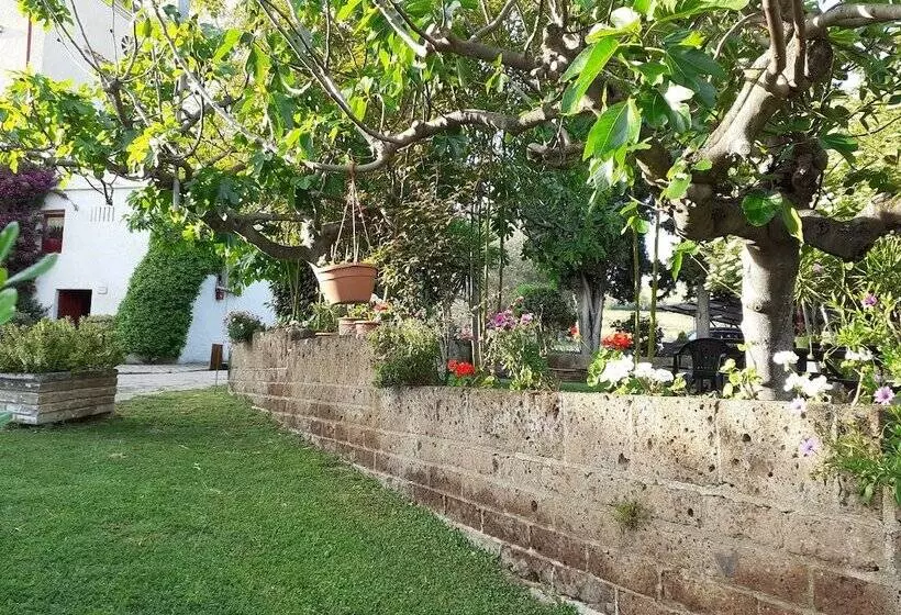 هتل Pier Delle Vigne B&b