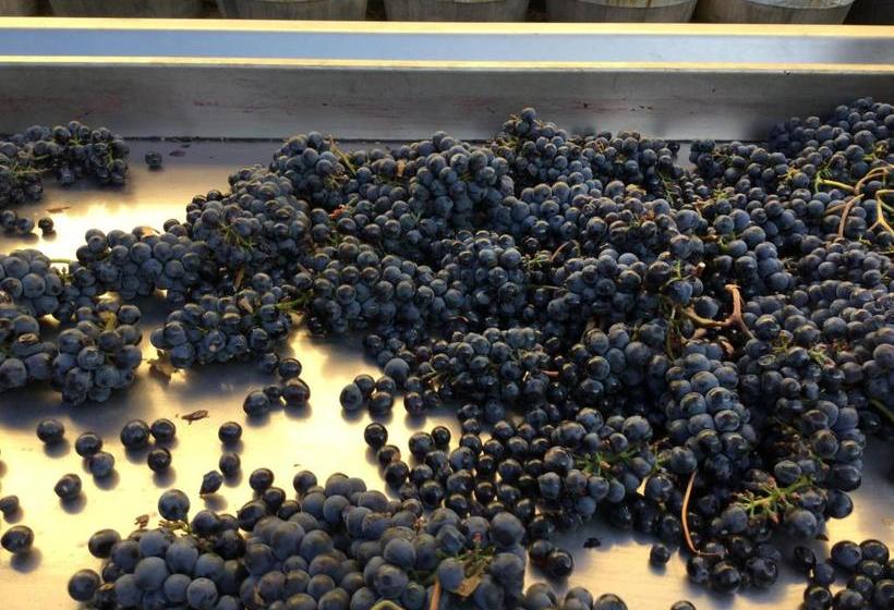 酒店 Tenuta San Filippo