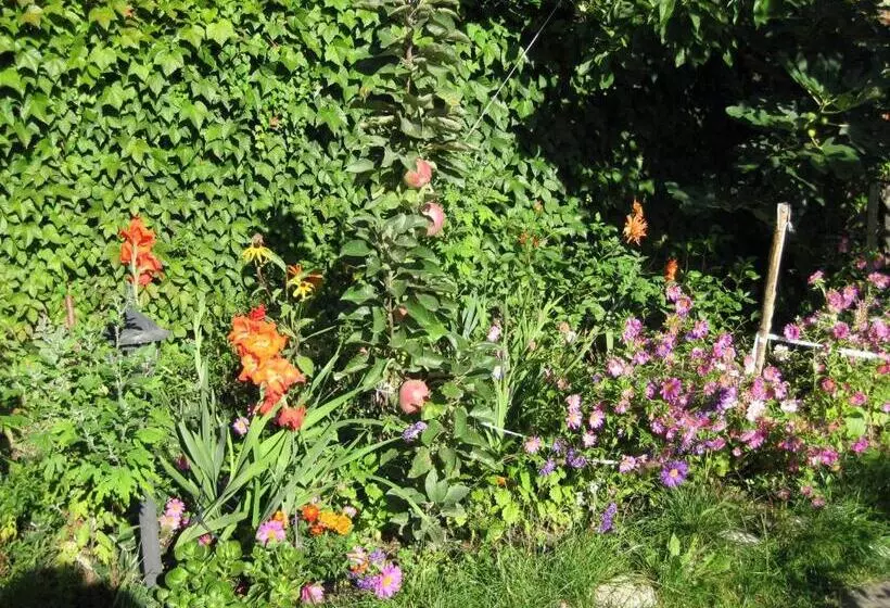 ペンション Chardaka Guest House