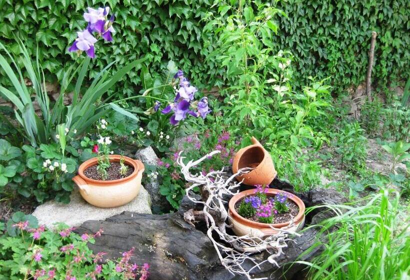 Пансион Chardaka Guest House