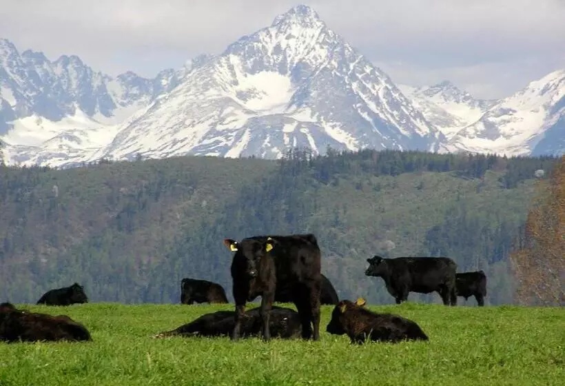 Majatalo Penzion Ranc U Trapera