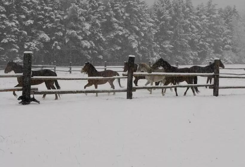 Majatalo Penzion Ranc U Trapera